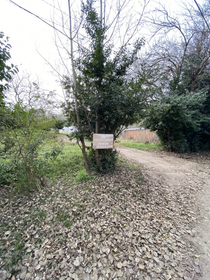 Lote Santa maria de Oro