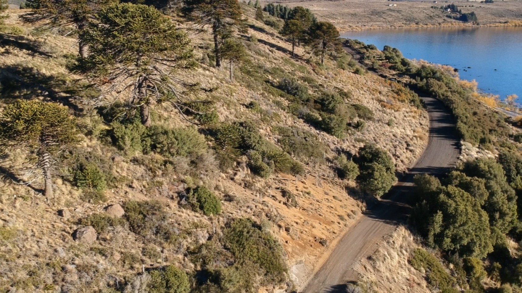 Unicos lotes frente al lago Huechulafquen, Junin de los Andes, Neuquen