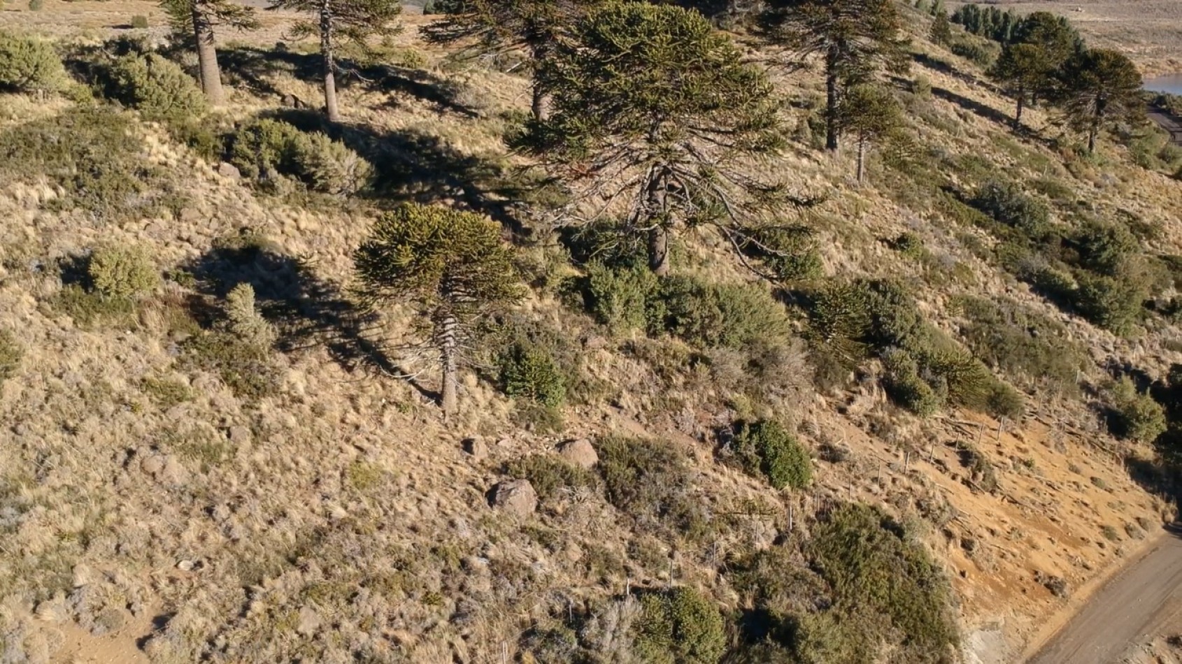 Unicos lotes frente al lago Huechulafquen, Junin de los Andes, Neuquen