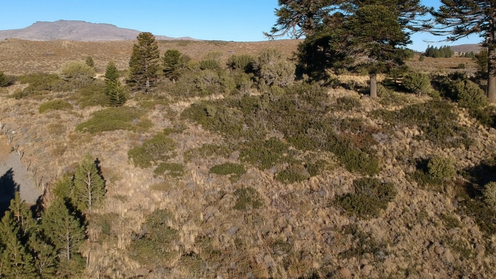 Unicos lotes frente al lago Huechulafquen, Junin de los Andes, Neuquen