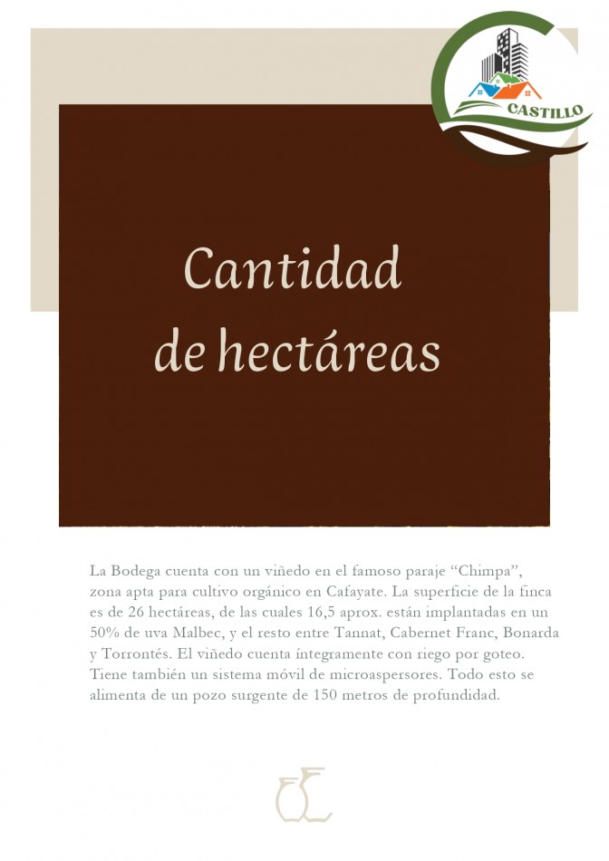 Bodega - Cafayate