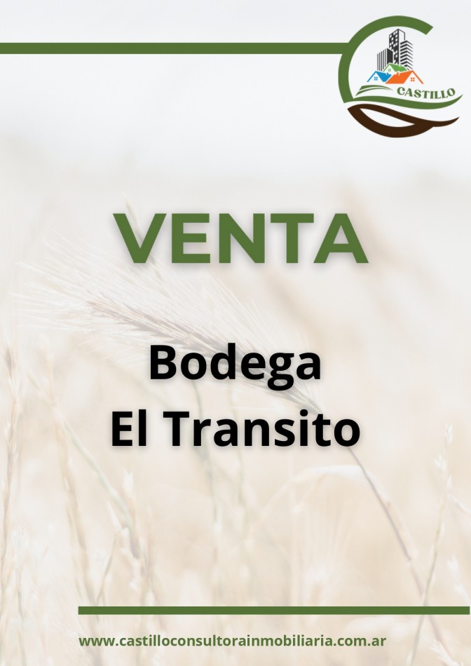 Bodega - Cafayate