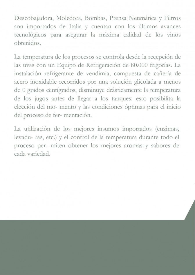 Bodega - Cafayate