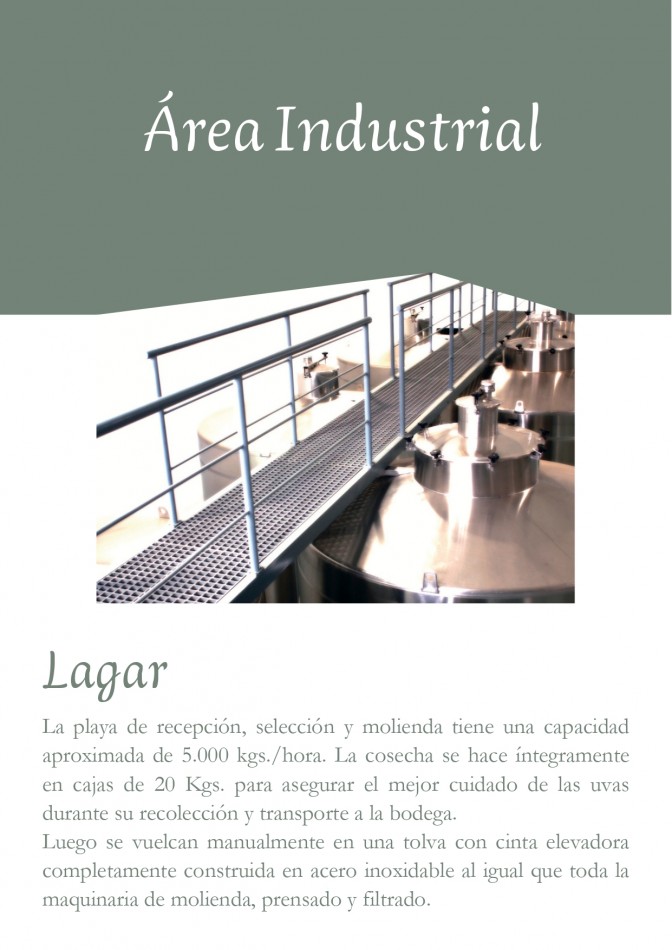 Bodega - Cafayate
