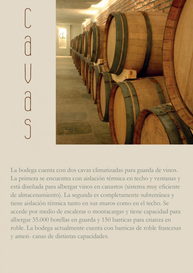 Bodega - Cafayate