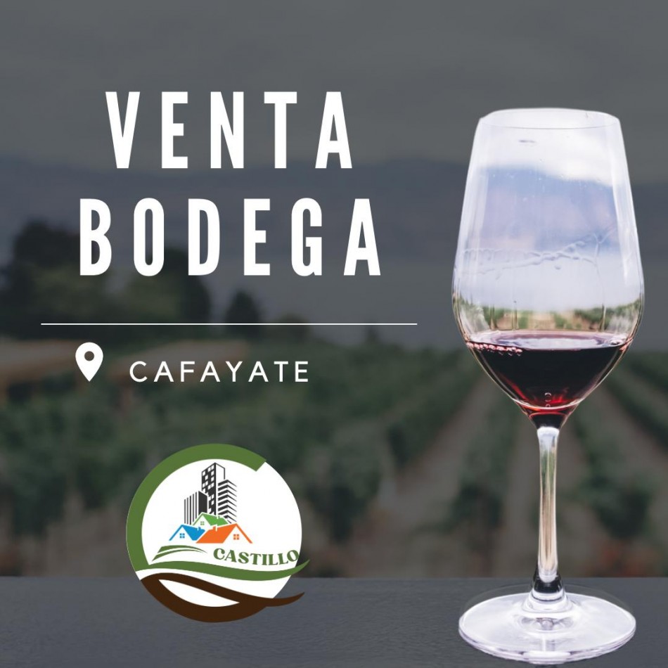 Bodega - Cafayate