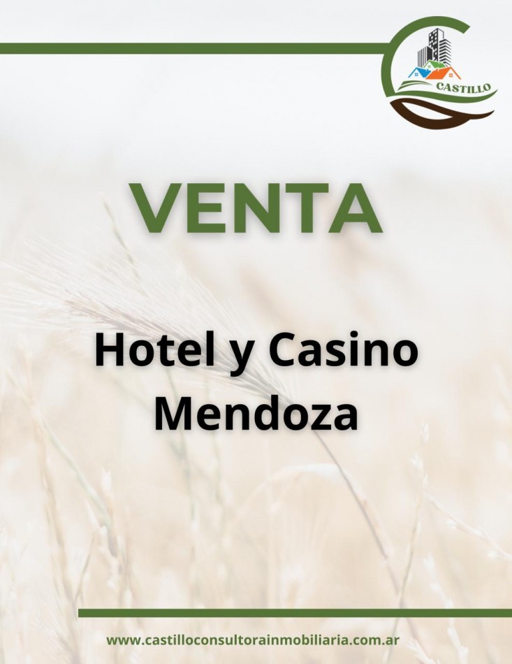 Hotel 4 estrellas y casino - Mendoza - ruta del vino