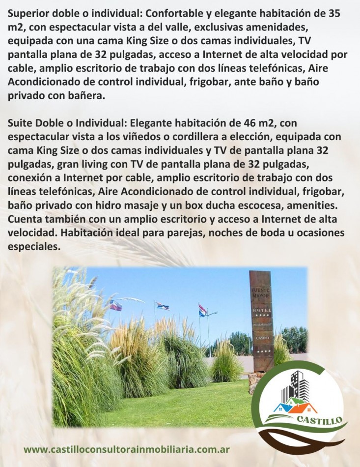Hotel 4 estrellas y casino - Mendoza - ruta del vino