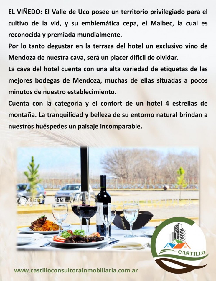 Hotel 4 estrellas y casino - Mendoza - ruta del vino