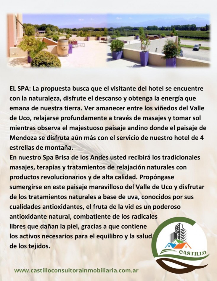 Hotel 4 estrellas y casino - Mendoza - ruta del vino