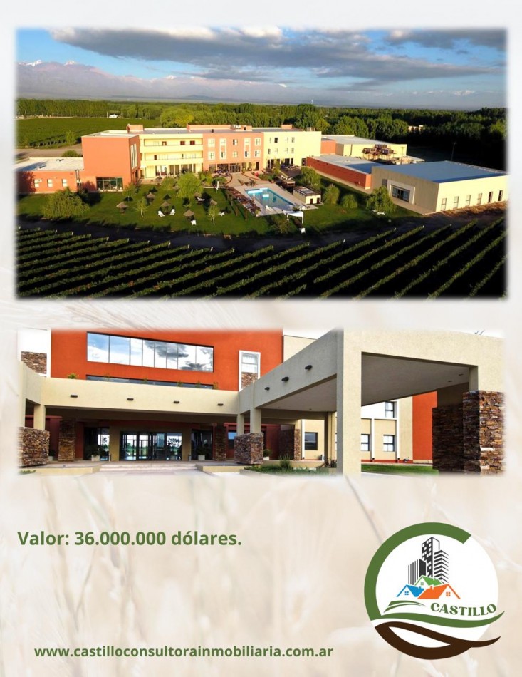 Hotel 4 estrellas y casino - Mendoza - ruta del vino