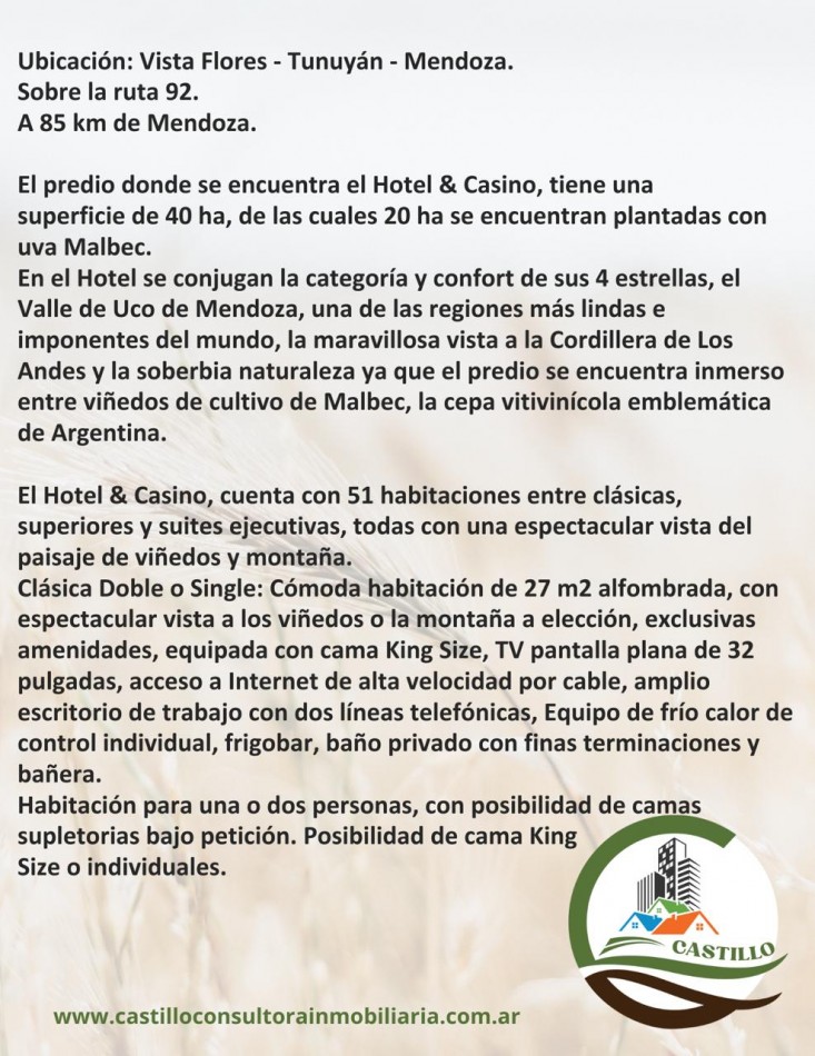 Hotel 4 estrellas y casino - Mendoza - ruta del vino