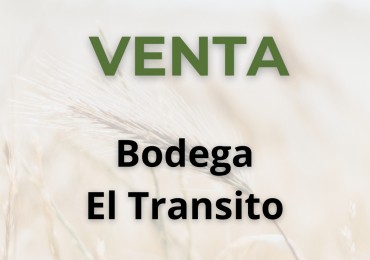 Bodega - Cafayate