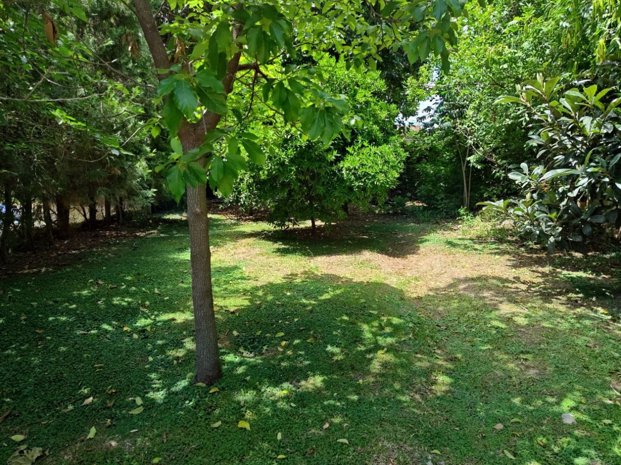Casa con gran parque
