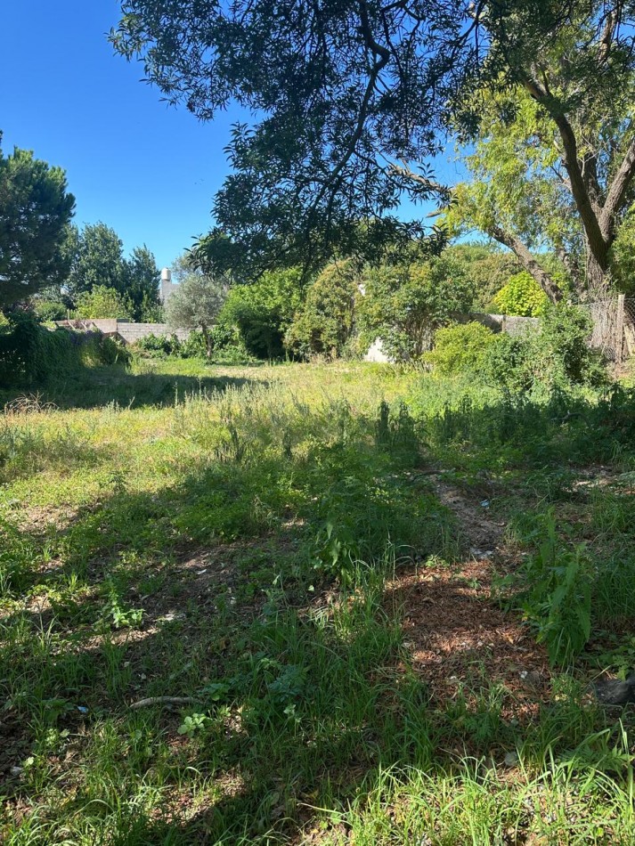 VENTA DE HERMOSO LOTE  UNIFAMILIAR EN VILLA GESELL DE  690 m2
