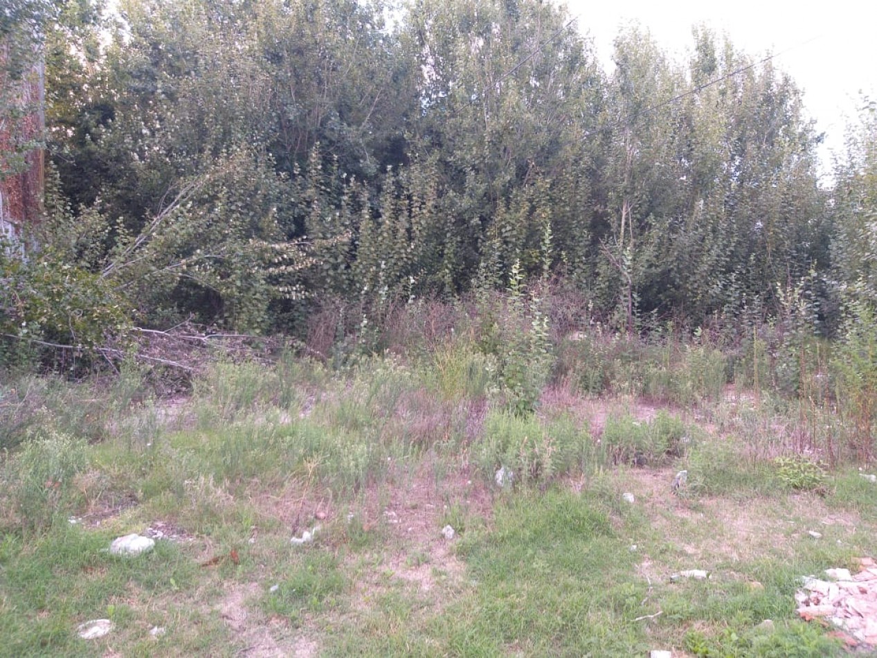 Lote de 714M2 a 200 Mts de la Plaza Pereira