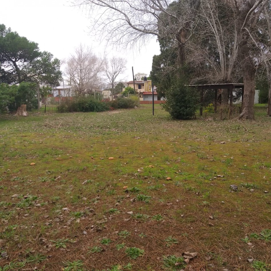 Lote 800M2 Playa norte Av IX y 47 