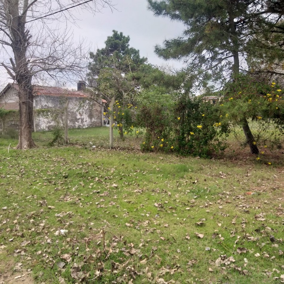 Lote 800M2 Playa norte Av IX y 47 