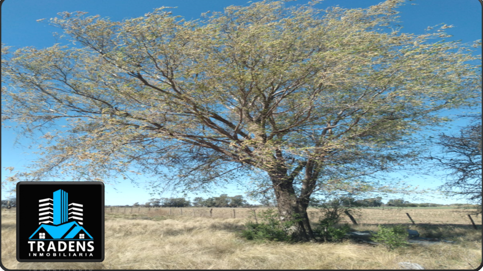 ESPECTACULAR LOTE EN MONTE NIEVAS (LA PAMPA)