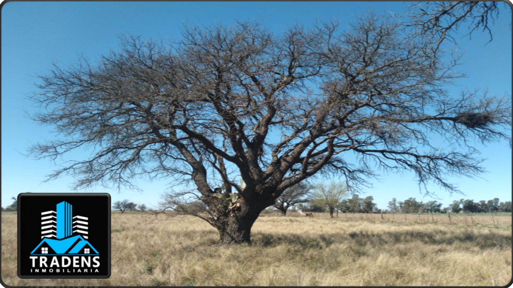 ESPECTACULAR LOTE EN MONTE NIEVAS (LA PAMPA)