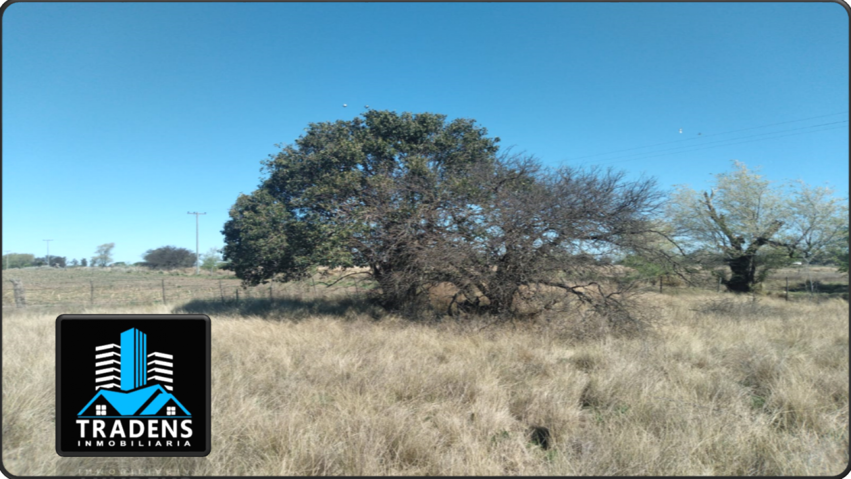 ESPECTACULAR LOTE EN MONTE NIEVAS (LA PAMPA)