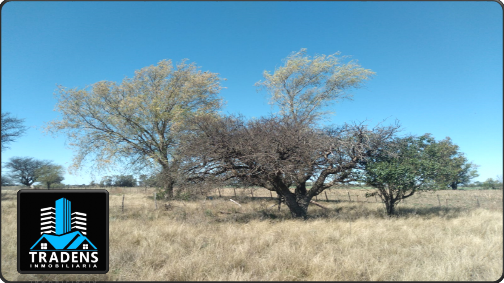 ESPECTACULAR LOTE EN MONTE NIEVAS (LA PAMPA)