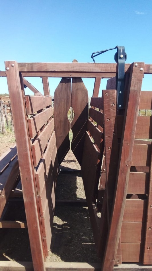 TELEN: CHACRA C/ CHALET y EQUIPAMENTO - 44 HAS. -
