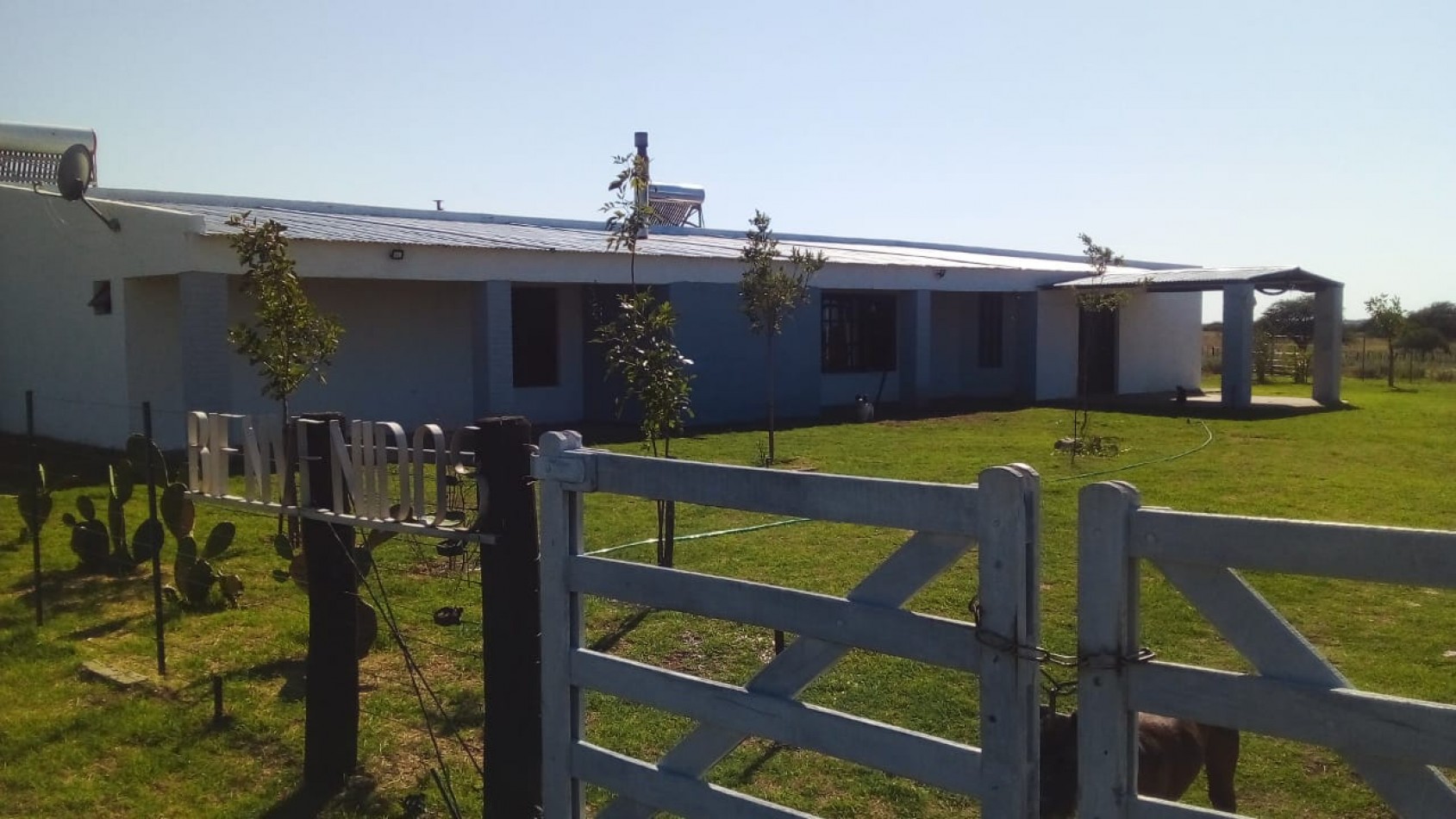 TELEN: CHACRA C/ CHALET y EQUIPAMENTO - 44 HAS. -