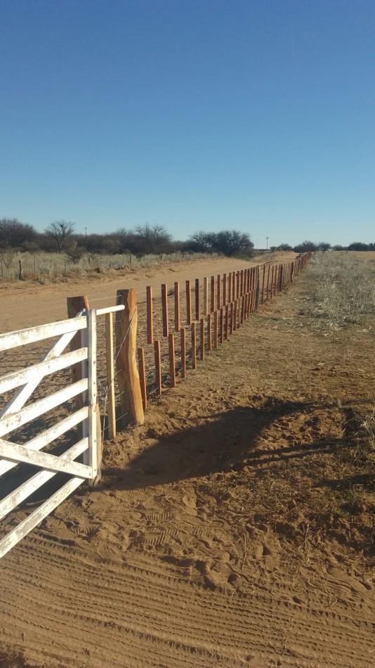 TELEN: CHACRA C/ CHALET y EQUIPAMENTO - 44 HAS. -