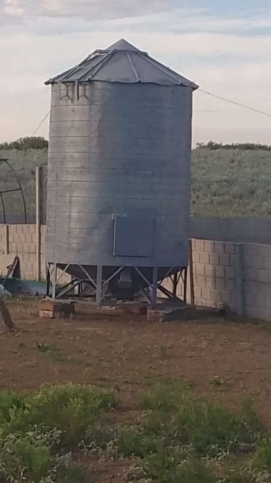 TELEN: CHACRA C/ CHALET y EQUIPAMENTO - 44 HAS. -