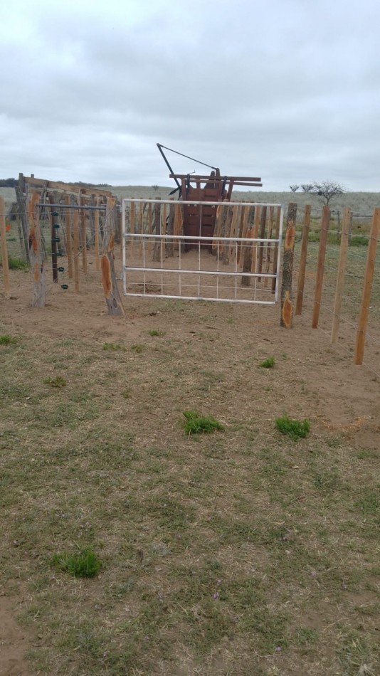 TELEN: CHACRA C/ CHALET y EQUIPAMENTO - 44 HAS. -