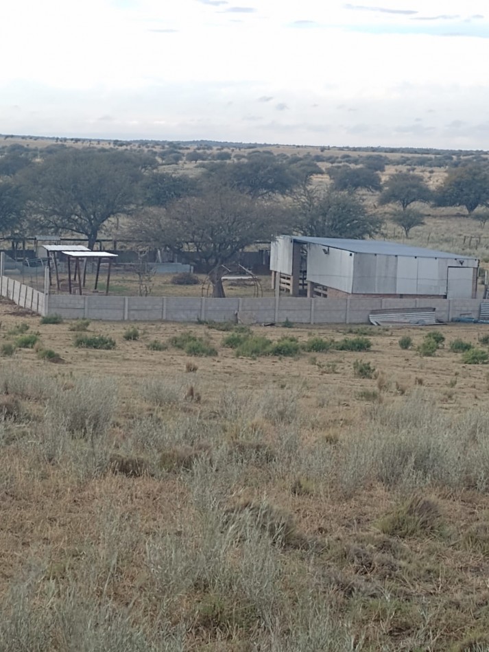 TELEN: CHACRA C/ CHALET y EQUIPAMENTO - 44 HAS. -