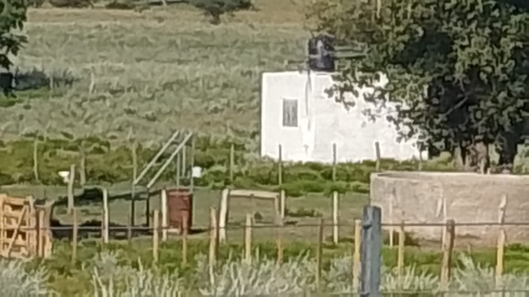 TELEN: CHACRA C/ CHALET y EQUIPAMENTO - 44 HAS. -