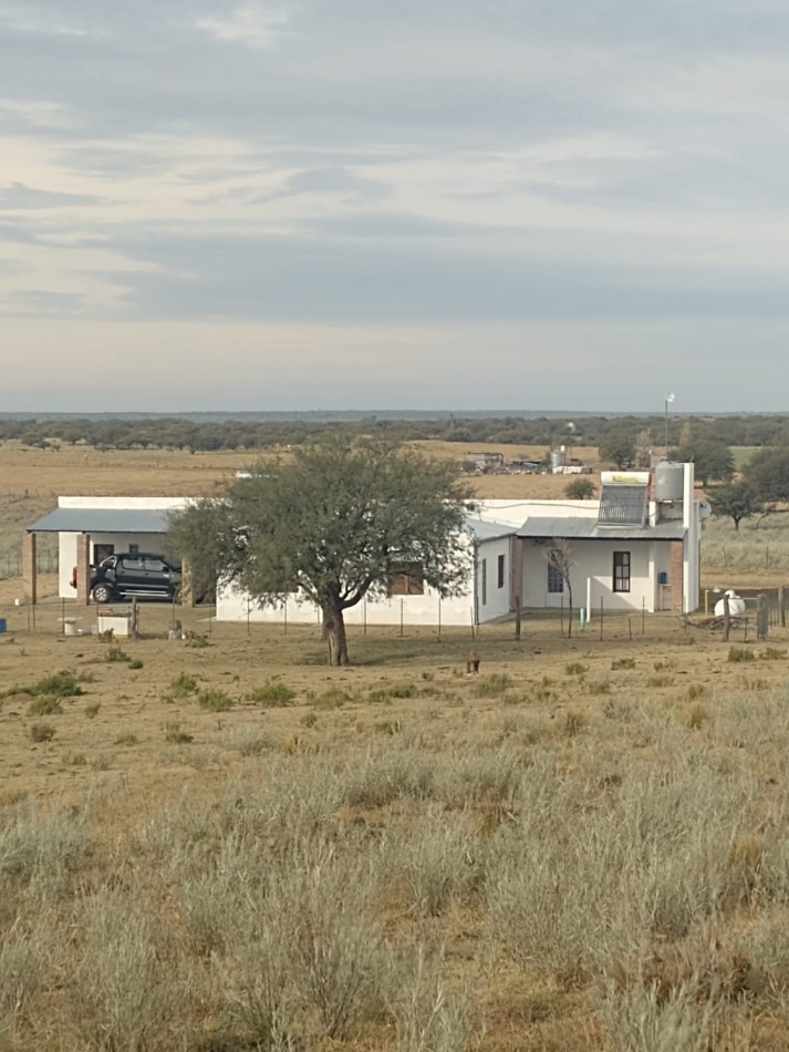 TELEN: CHACRA C/ CHALET y EQUIPAMENTO - 44 HAS. -