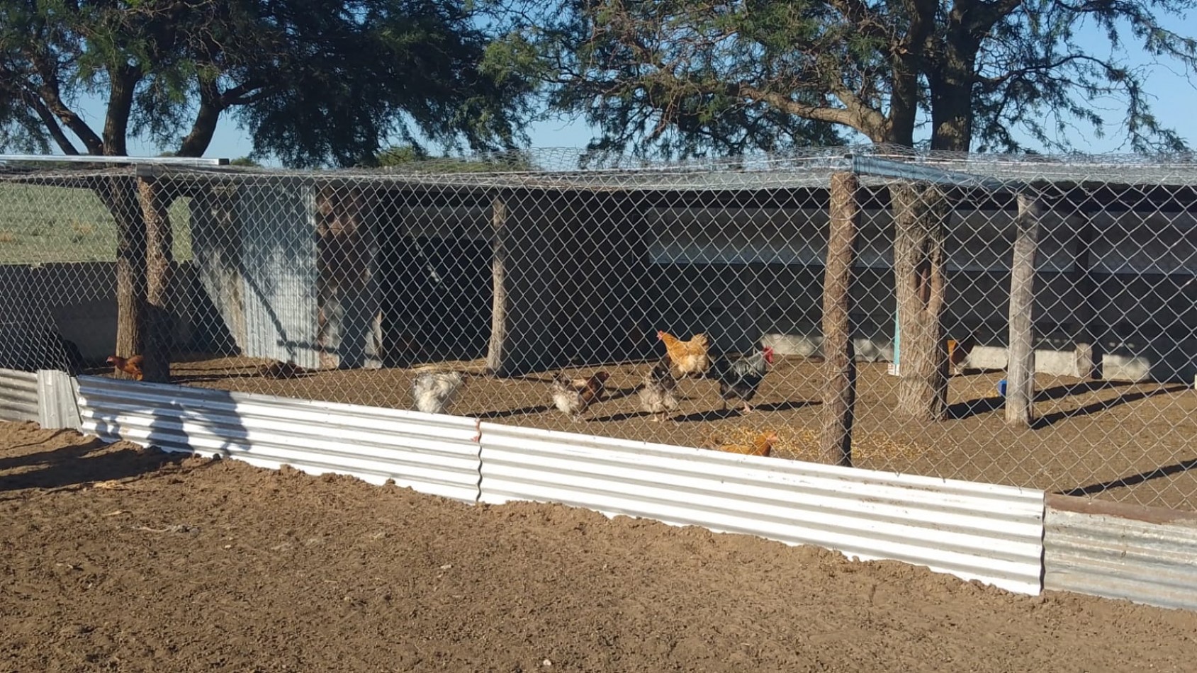 TELEN: CHACRA C/ CHALET y EQUIPAMENTO - 44 HAS. -