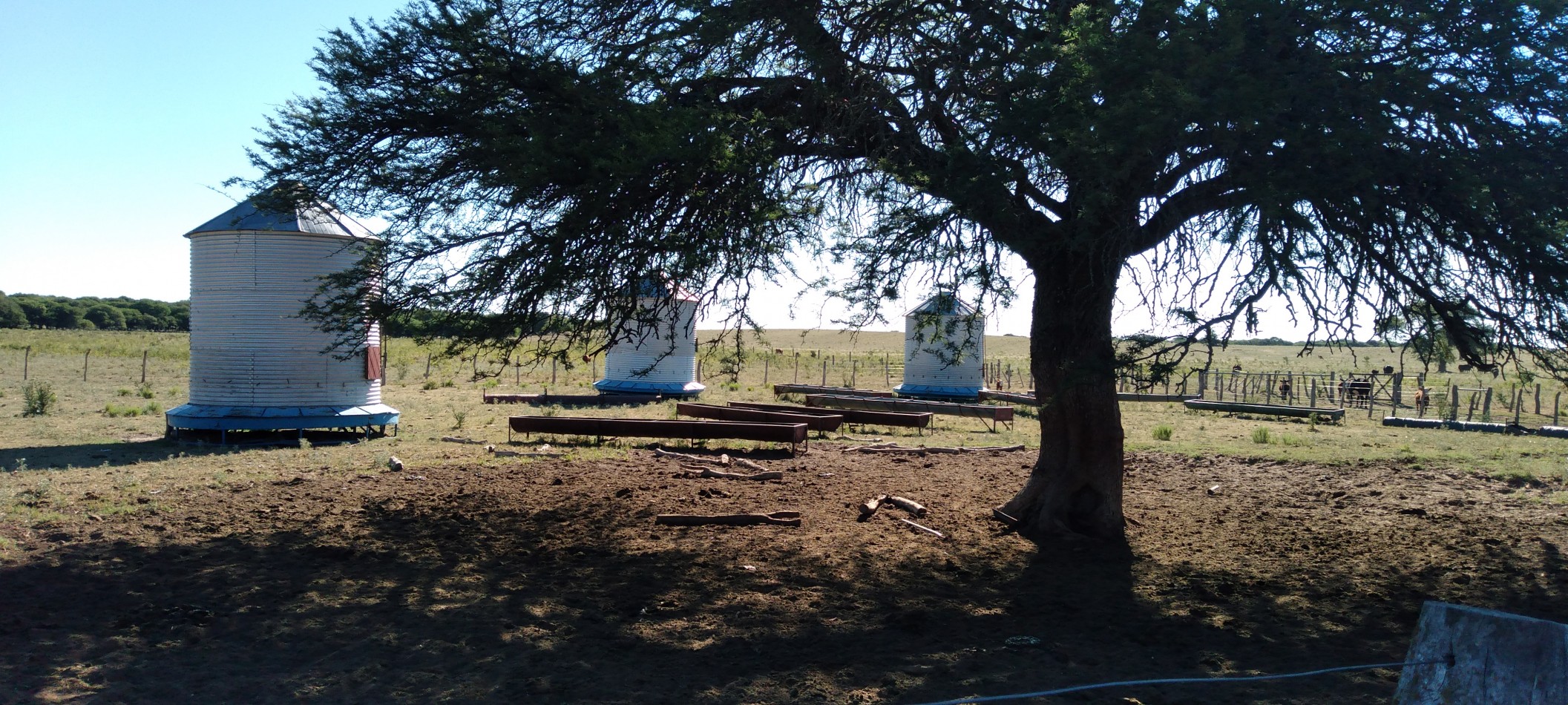 CAMPO GANADERO / APTO COTO DE CAZA 