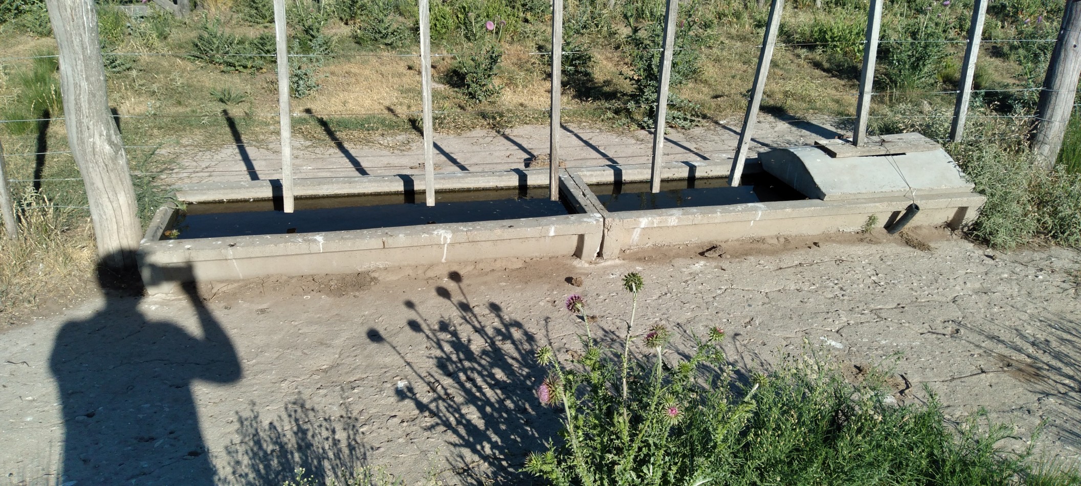 CAMPO GANADERO / APTO COTO DE CAZA 