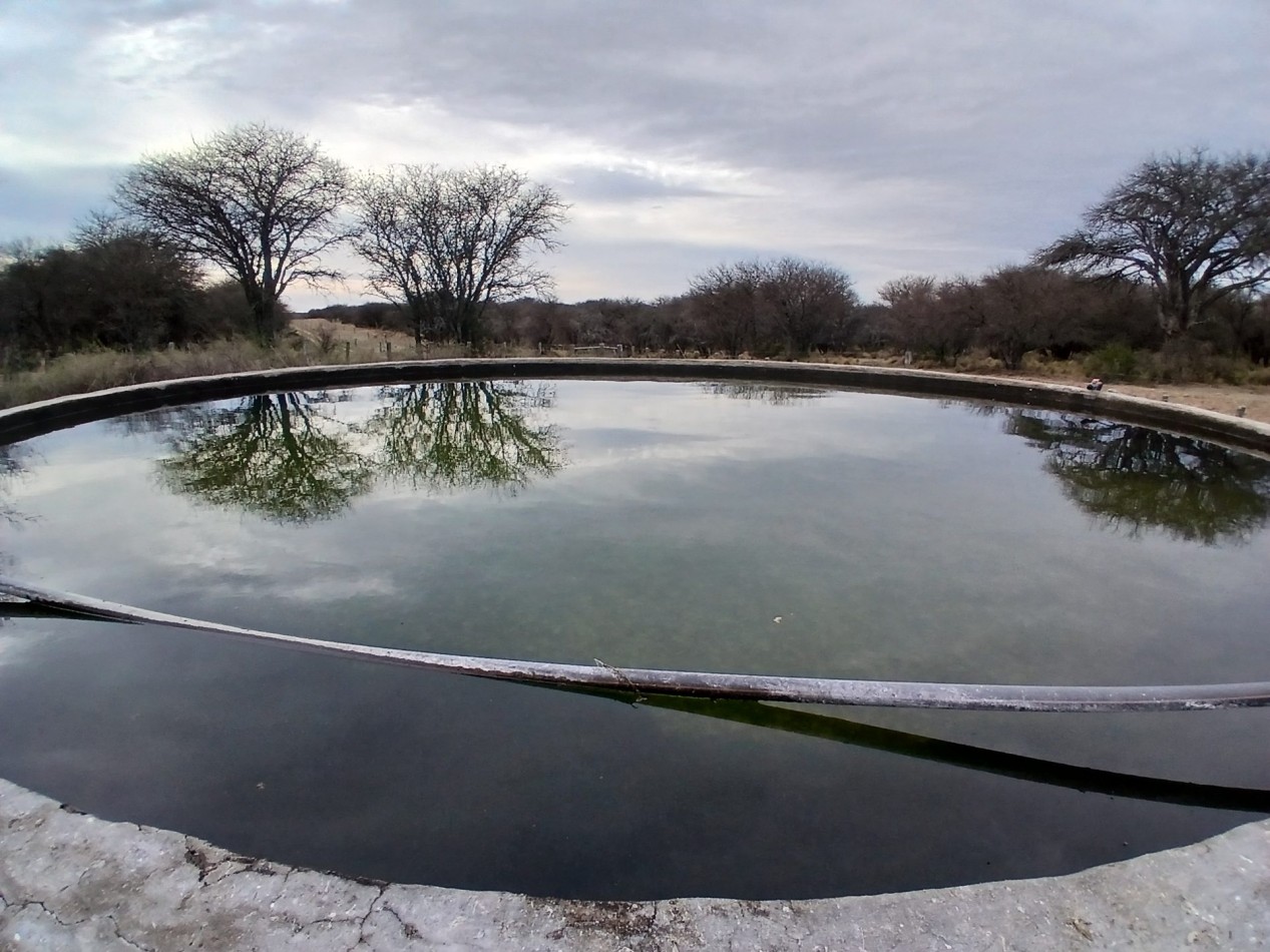 CAMPO GANADERO / APTO COTO DE CAZA 