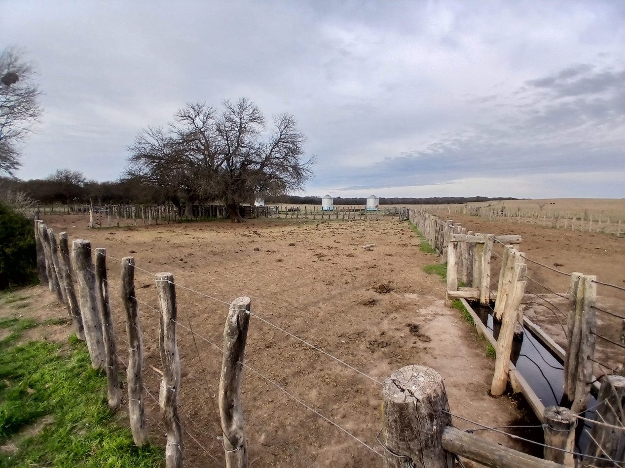 CAMPO GANADERO / APTO COTO DE CAZA 
