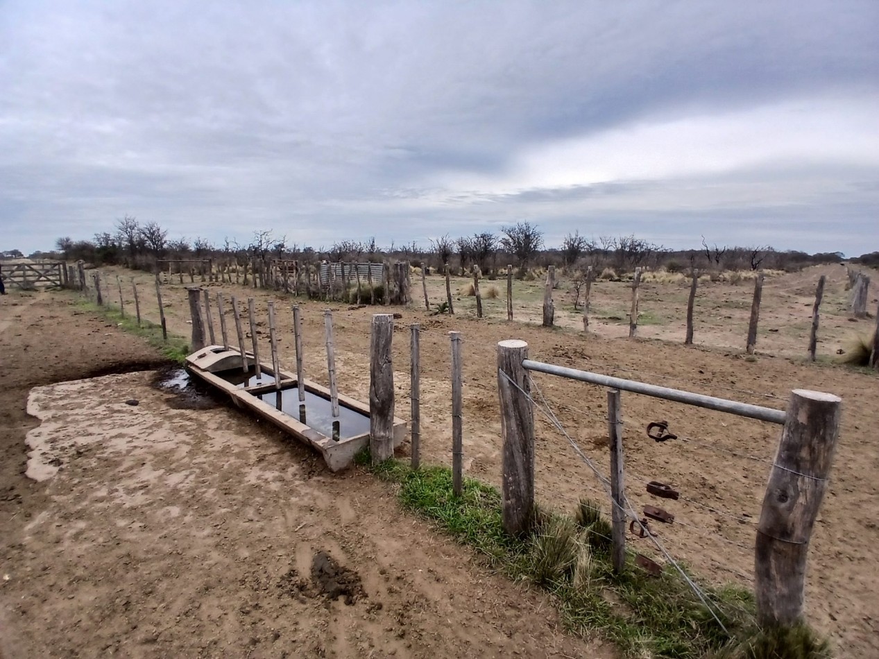 CAMPO GANADERO / APTO COTO DE CAZA 
