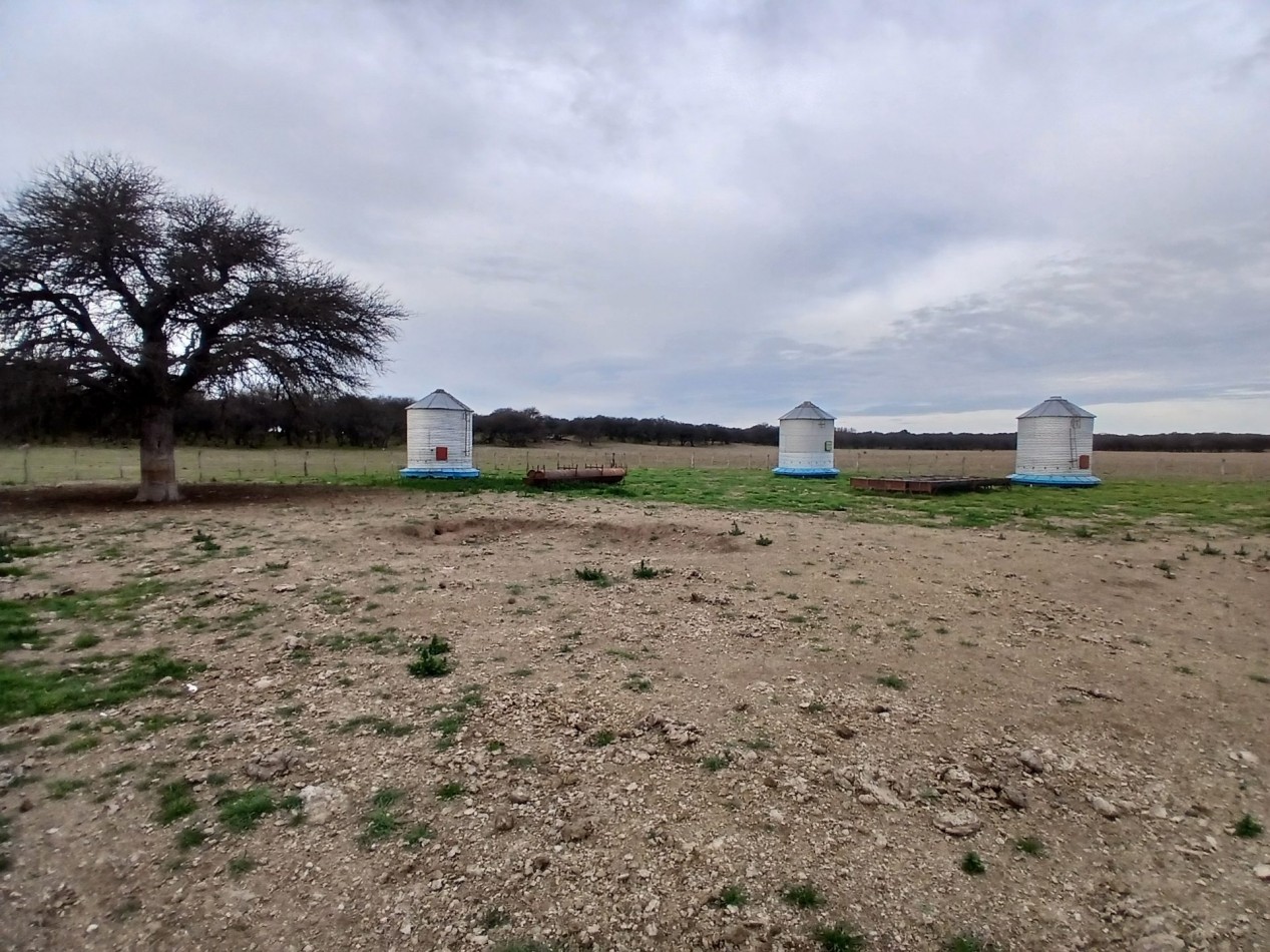 CAMPO GANADERO / APTO COTO DE CAZA 