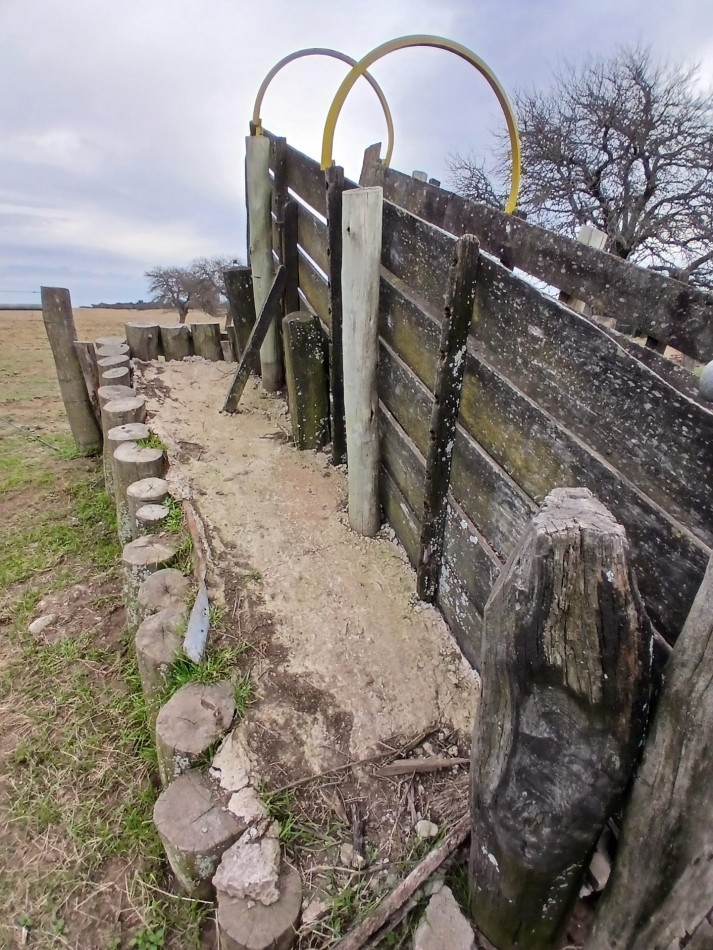 CAMPO GANADERO / APTO COTO DE CAZA 