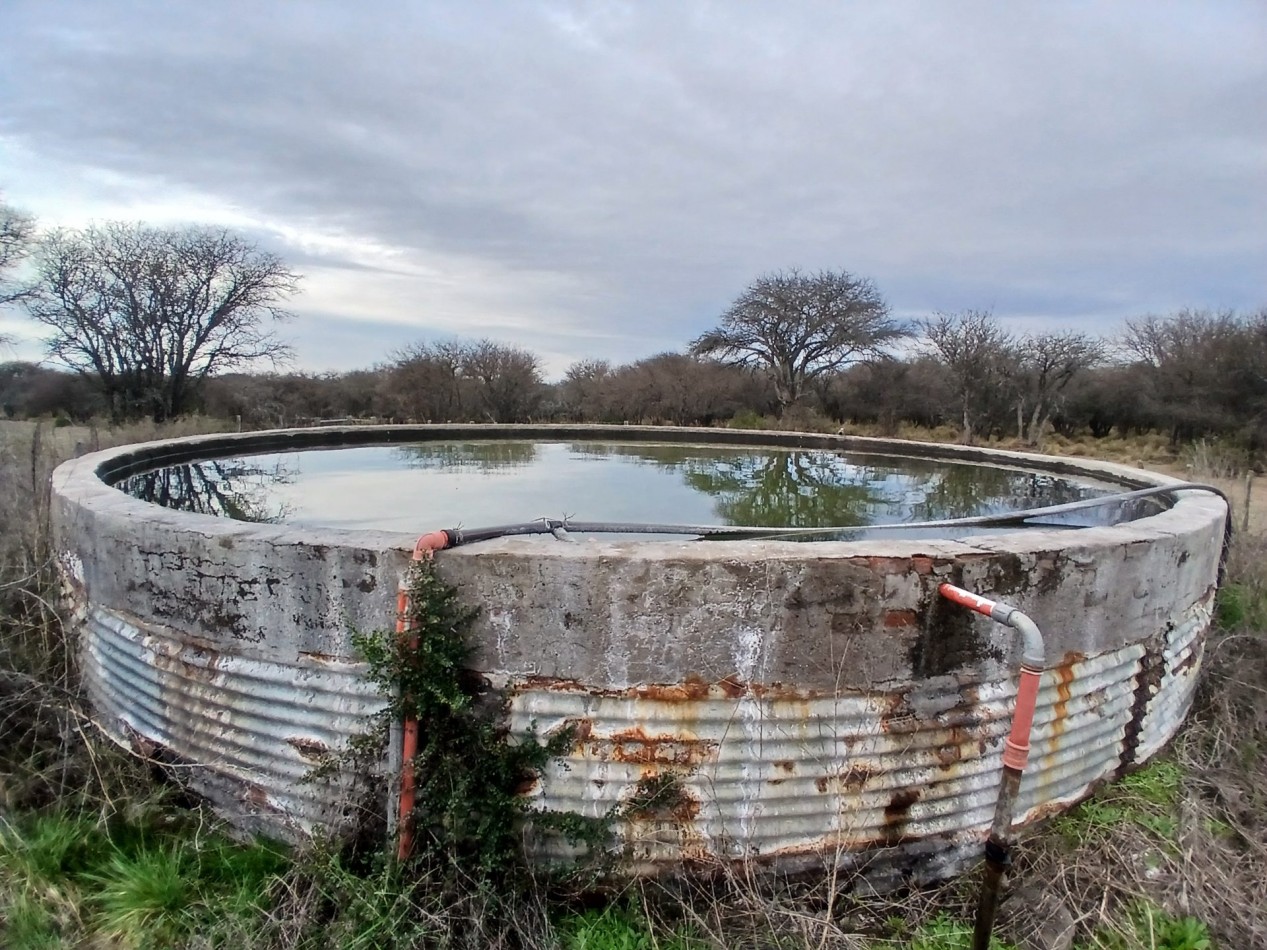 CAMPO GANADERO / APTO COTO DE CAZA 