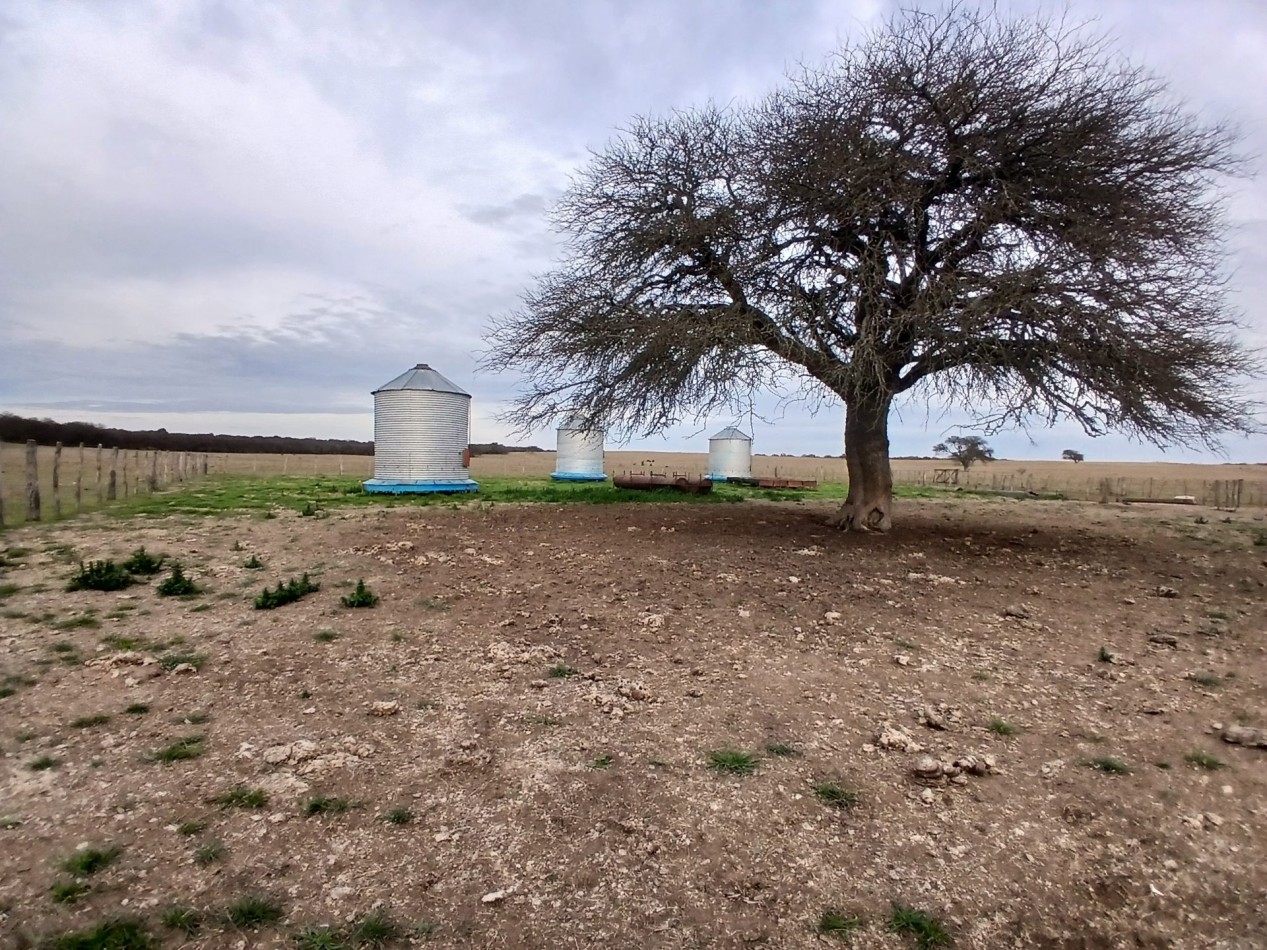 CAMPO GANADERO / APTO COTO DE CAZA 