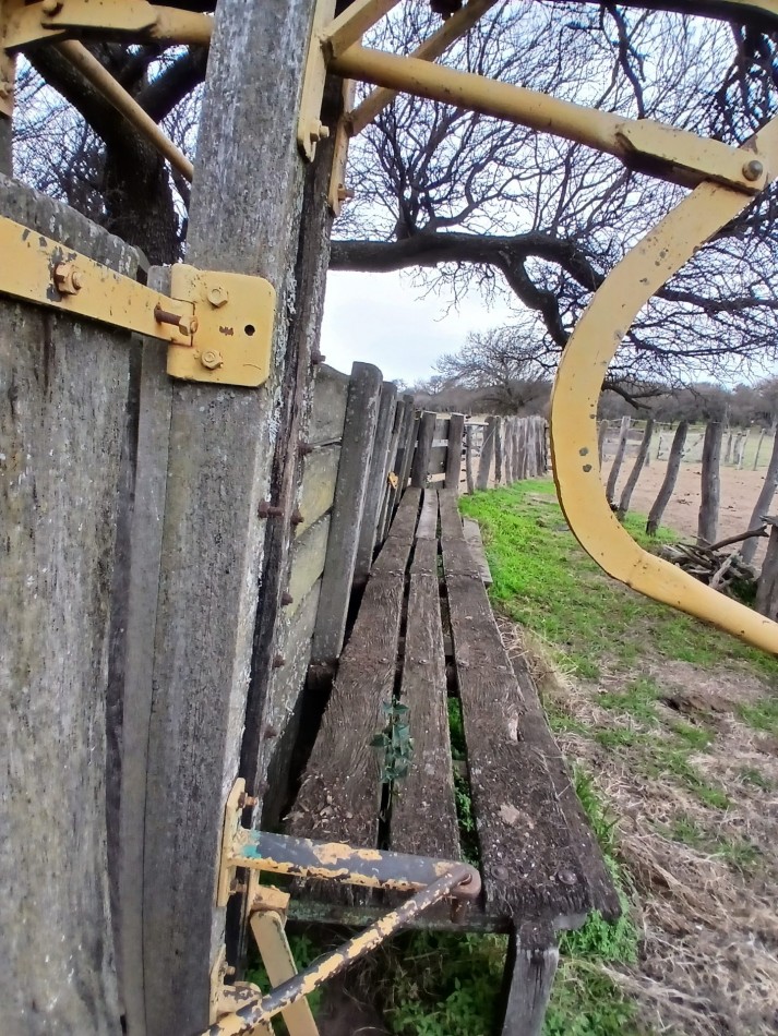 CAMPO GANADERO / APTO COTO DE CAZA 