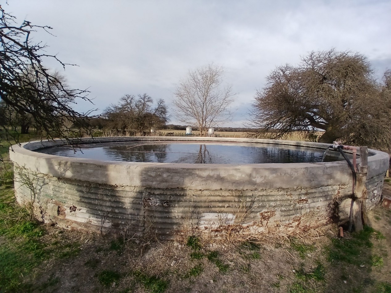 CAMPO GANADERO / APTO COTO DE CAZA 