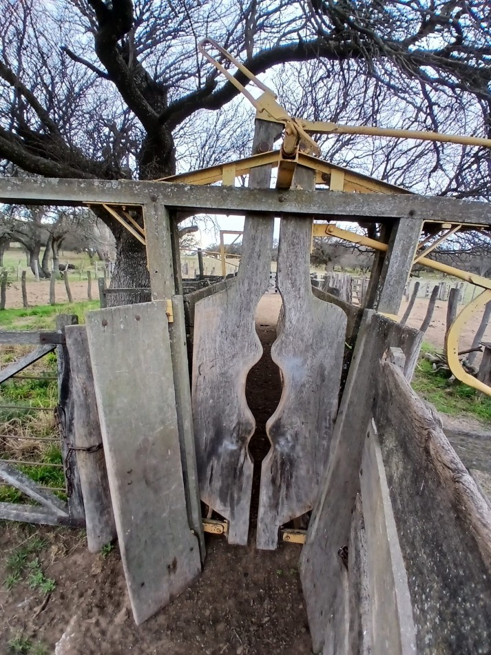 CAMPO GANADERO / APTO COTO DE CAZA 