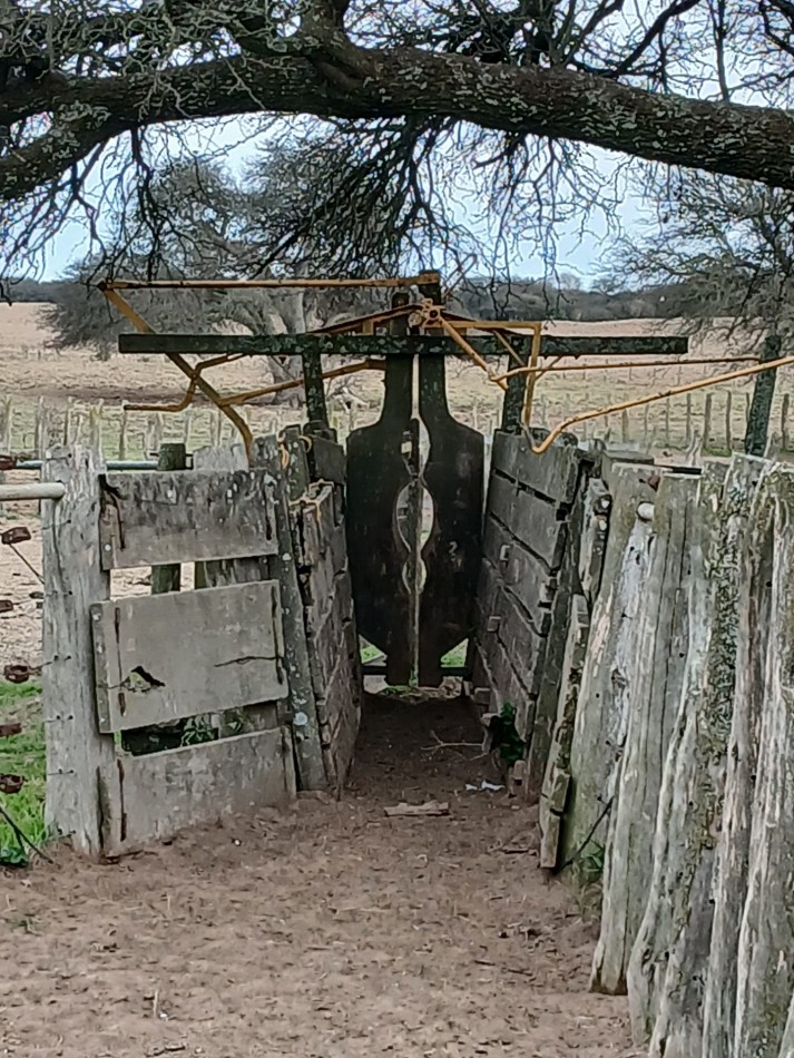 CAMPO GANADERO / APTO COTO DE CAZA 