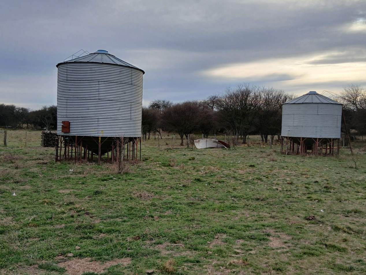 CAMPO GANADERO / APTO COTO DE CAZA 