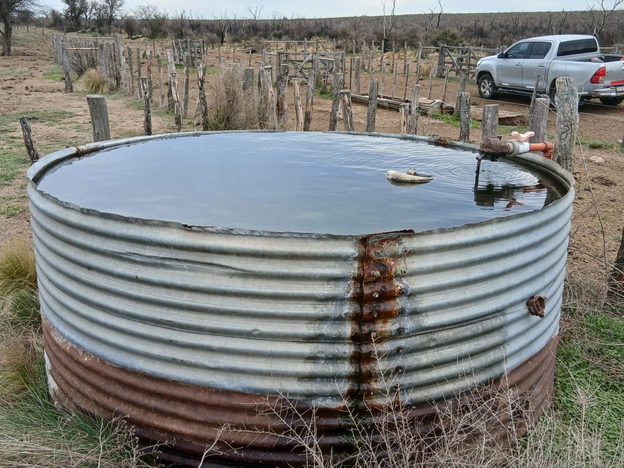CAMPO GANADERO / APTO COTO DE CAZA 